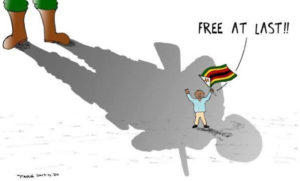 Surviving Zimbabwe: An anarchist critique