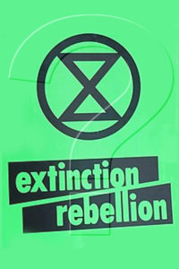 It’s Capitalism, Stupid: Extinction Rebellion Can’t Do it with Flowers.