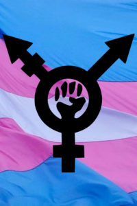 Two Pieces from the Trans Front | Current Events