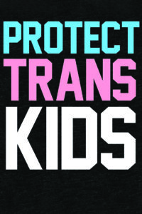How Many Trans Kids Should There Be? | Theory and Analysis
