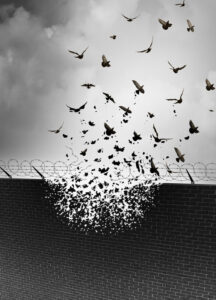 Toby Shone – Recalled To Prison | International