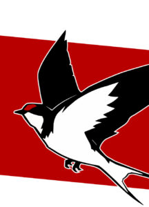 Announcing: Federatie voor Vrij Socialisme (FVS)